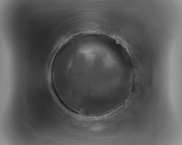 X0000114390002200910231026