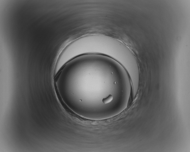 X0000114390003200910231026