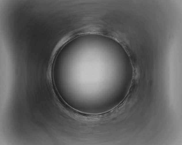 X0000114390004200910231026