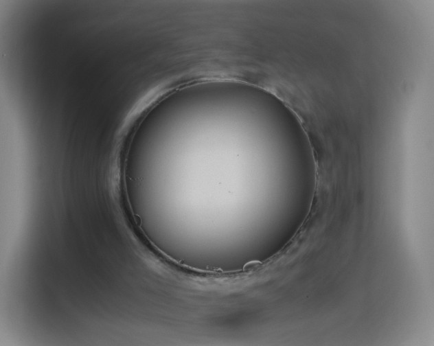 X0000114390005200910231026