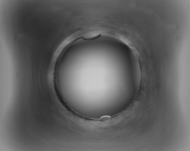 X0000114390007200910231026