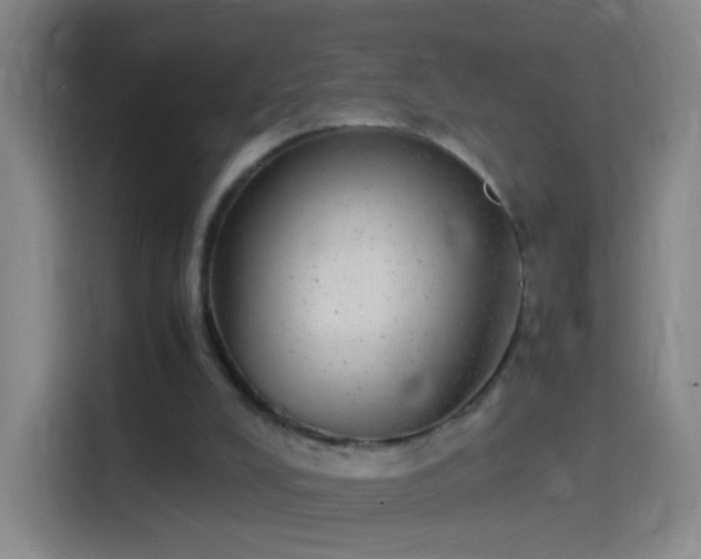 X0000114390008200910231026