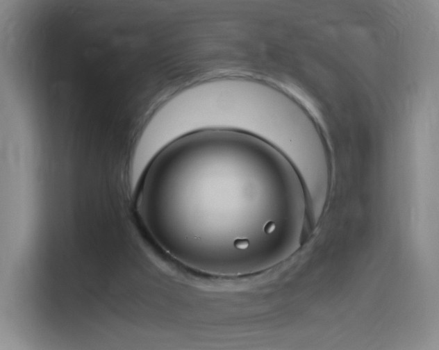 X0000114390009200910231026