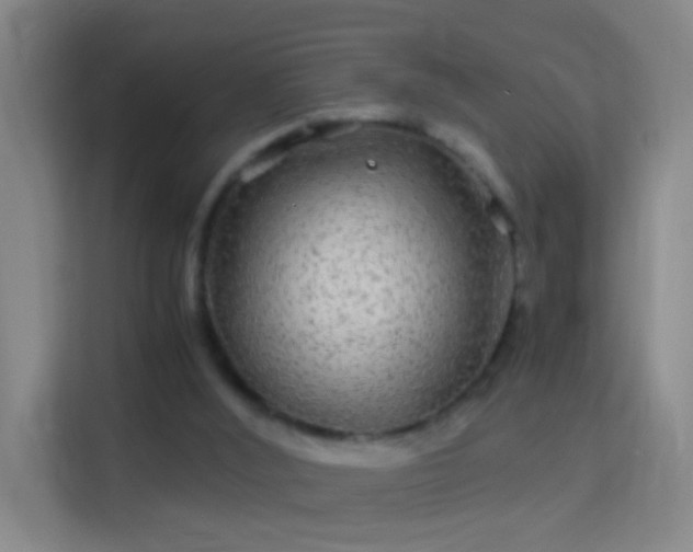 X0000114390012200910231026