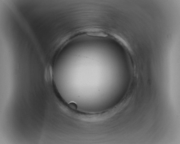 X0000114390013200910231026