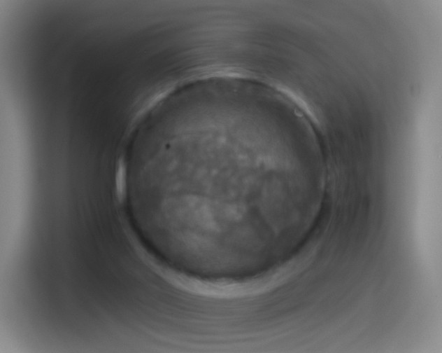 X0000114390014200910231026