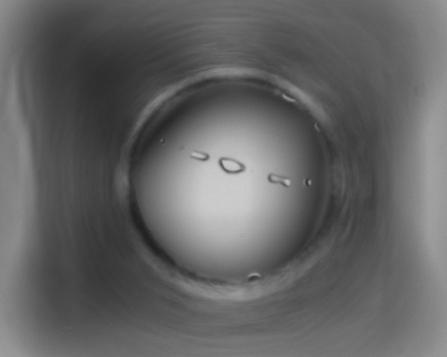 X0000114390015200910231026