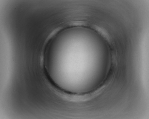 X0000114390016200910231026