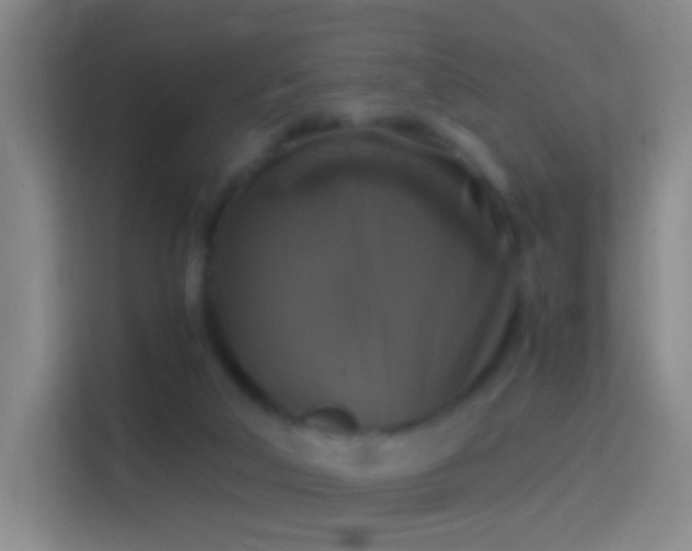 X0000114390018200910231026