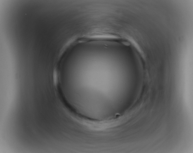 X0000114390019200910231026