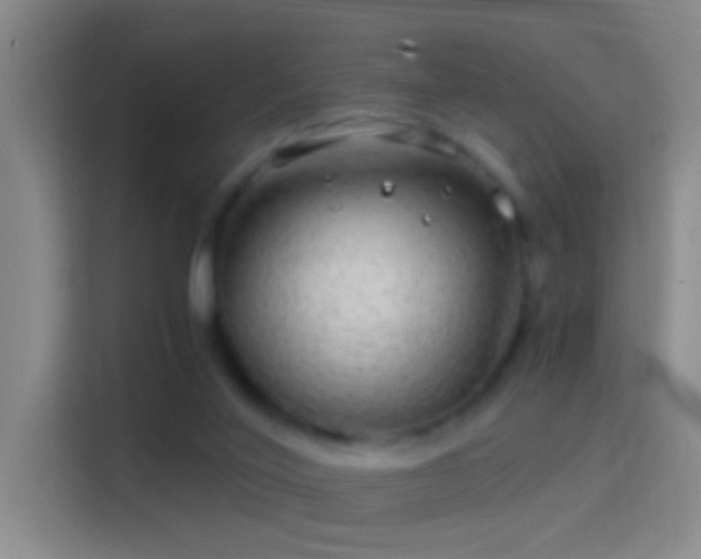 X0000114390020200910231025