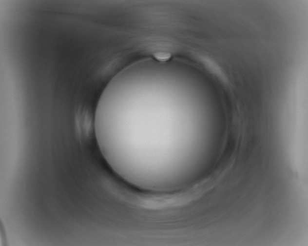 X0000114390021200910231025