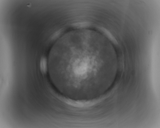 X0000114390022200910231025