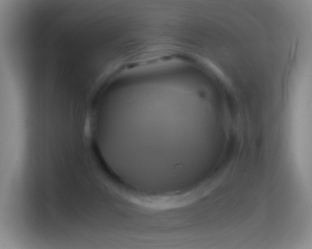 X0000114390023200910231025