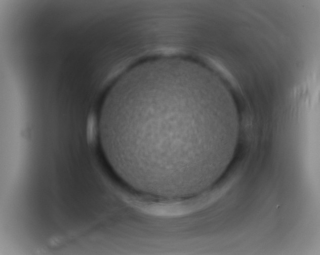X0000114390024200910231025