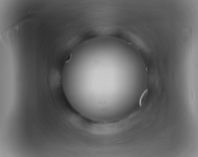 X0000114390025200910231025