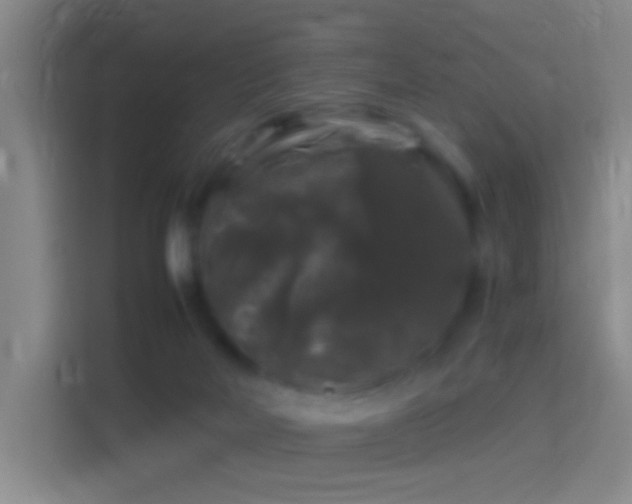 X0000114390026200910231025