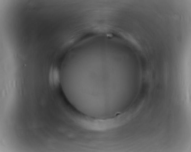 X0000114390027200910231025