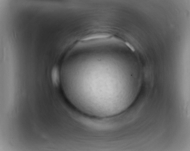 X0000114390028200910231025