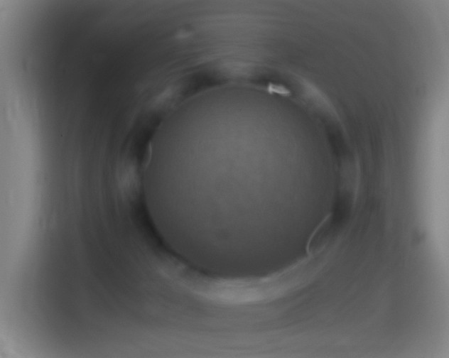 X0000114390029200910231025