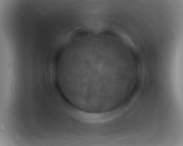 X0000114390030200910231025