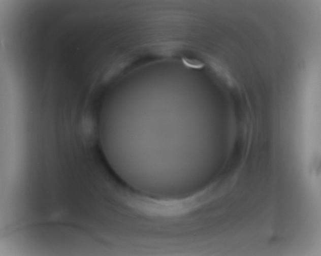 X0000114390031200910231025