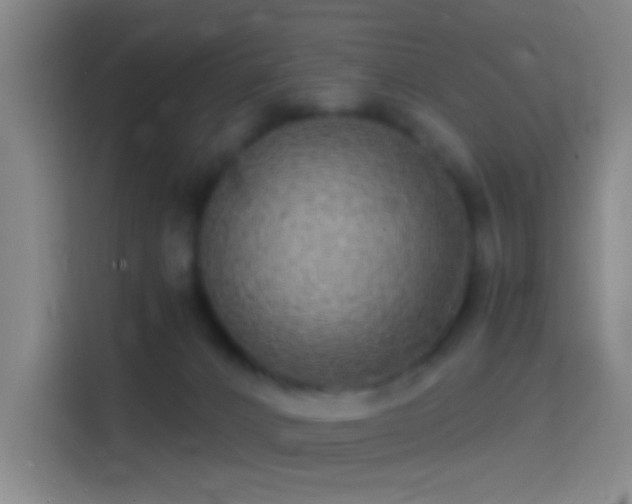 X0000114390032200910231025