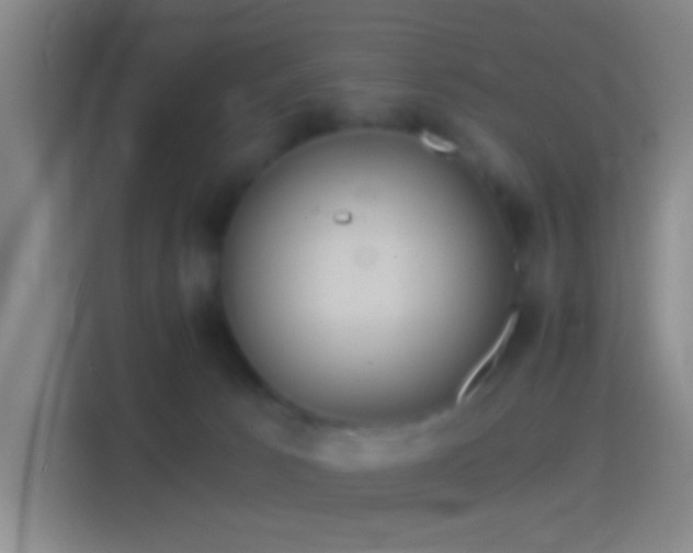 X0000114390033200910231025