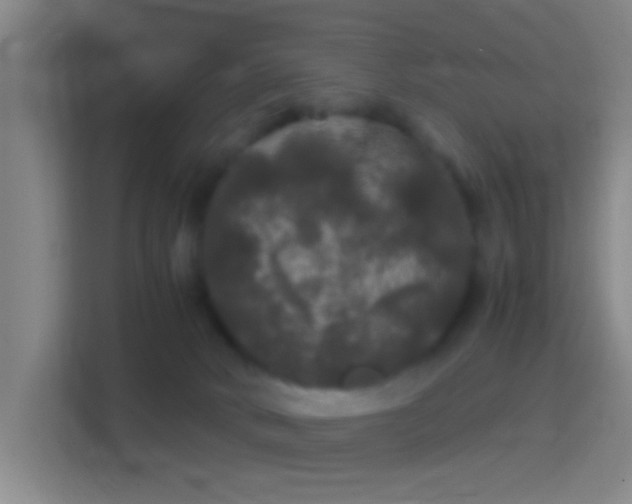 X0000114390034200910231025