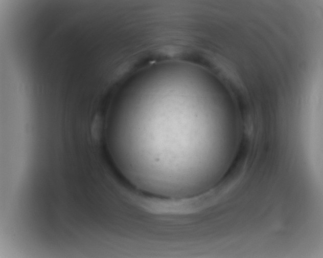 X0000114390036200910231025