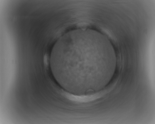 X0000114390038200910231025
