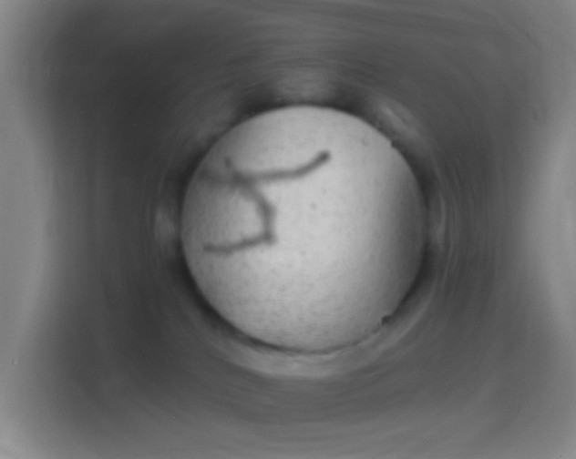 X0000114390040200910231025
