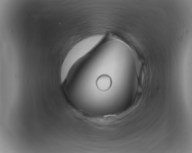 X0000114390041200910231025