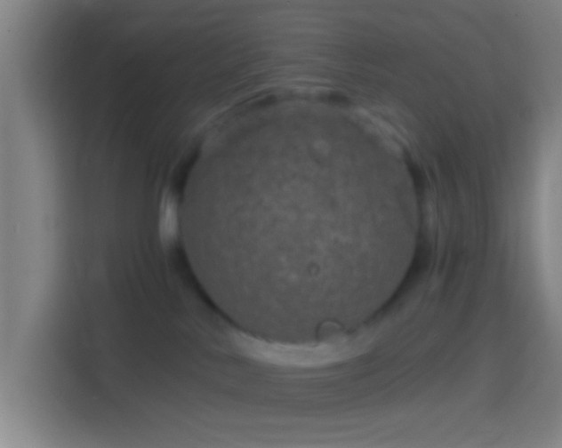 X0000114390042200910231025