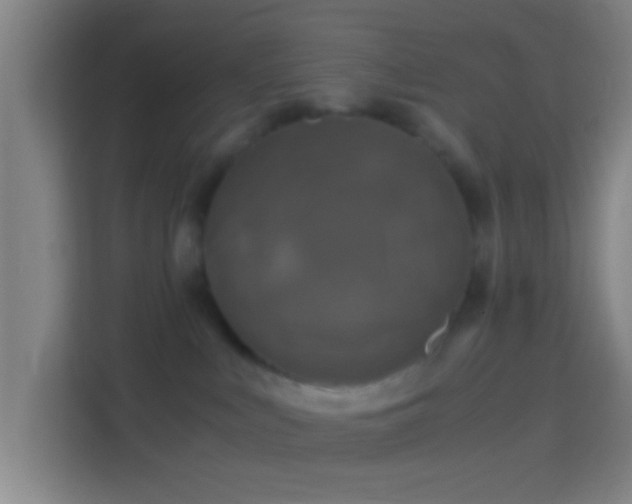 X0000114390043200910231025