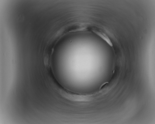 X0000114390044200910231025