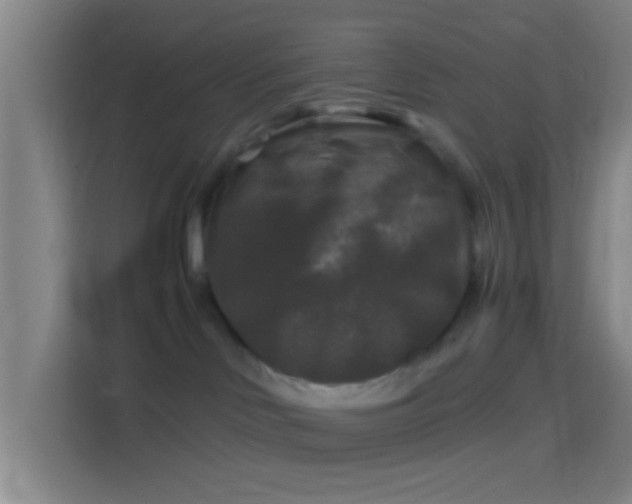 X0000114390046200910231025