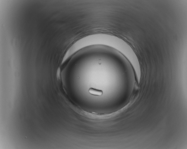X0000114390047200910231025