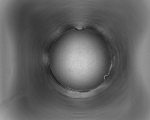 X0000114390048200910231025
