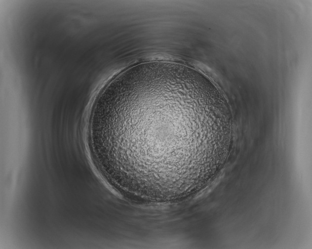 X0000114390049200910231025