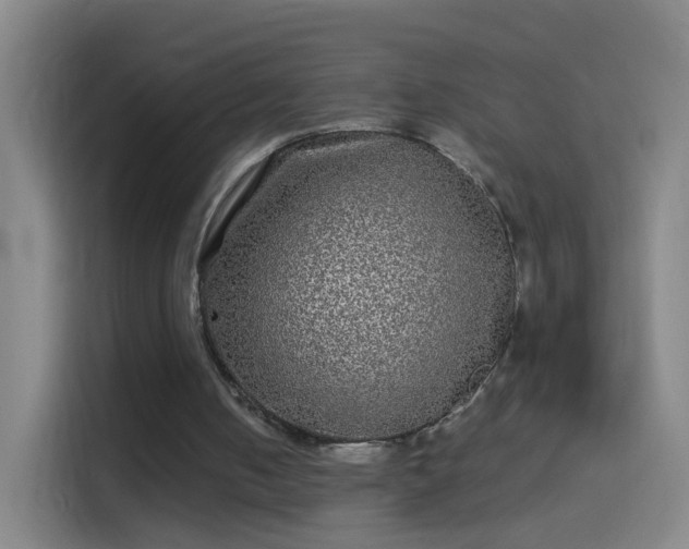 X0000114390050200910231025