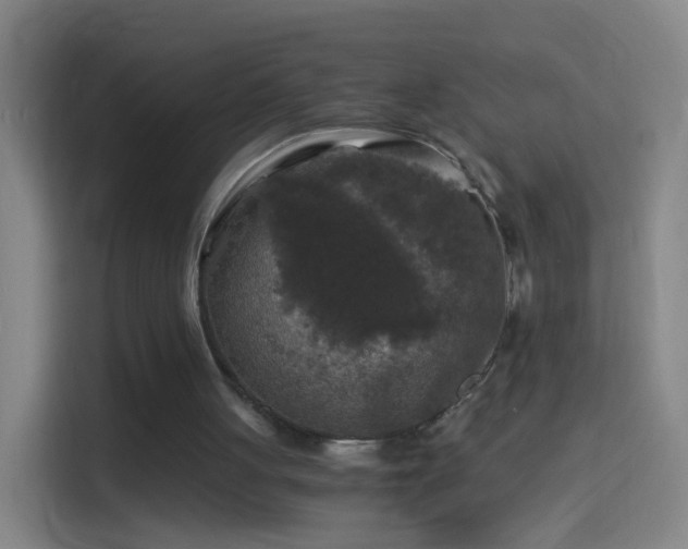 X0000114390051200910231025