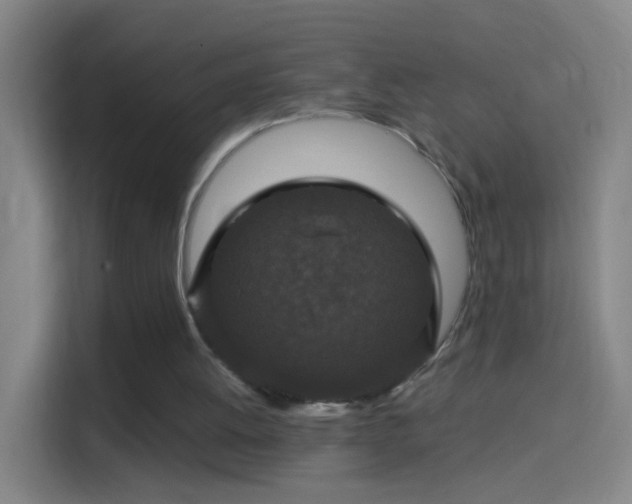 X0000114390052200910231025