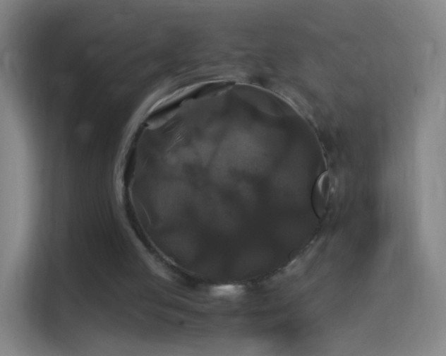 X0000114390053200910231025
