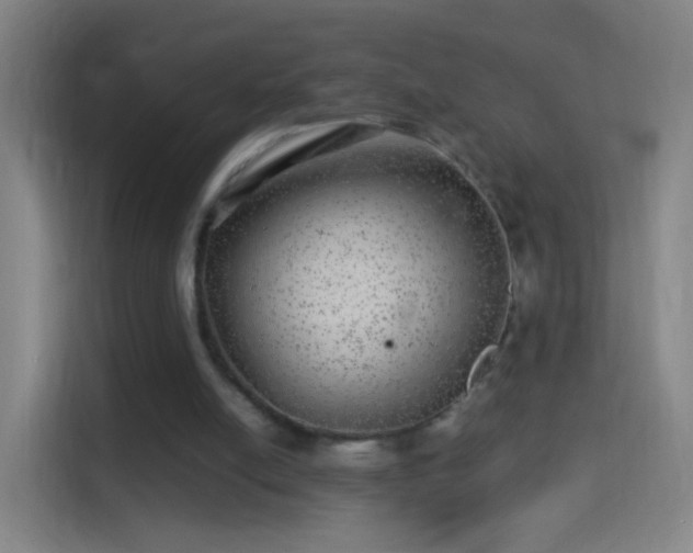 X0000114390054200910231025