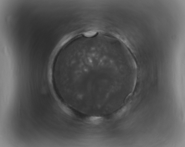 X0000114390055200910231025