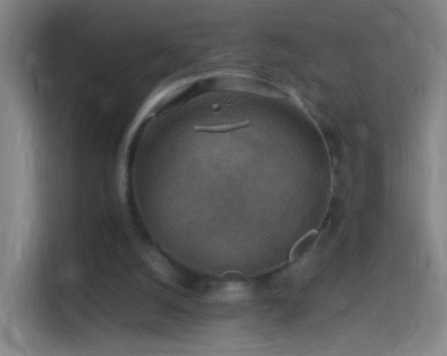 X0000114390056200910231025