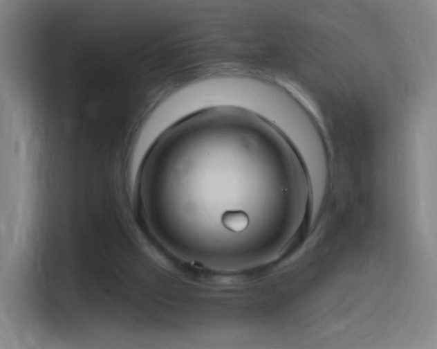 X0000114390057200910231025