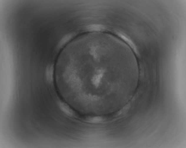 X0000114390058200910231025
