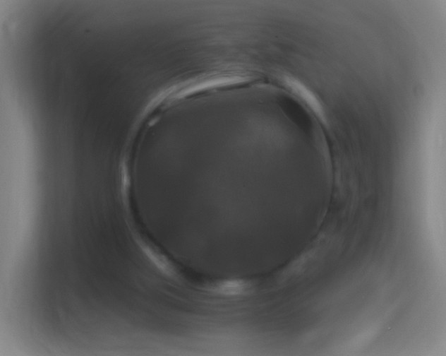 X0000114390059200910231025